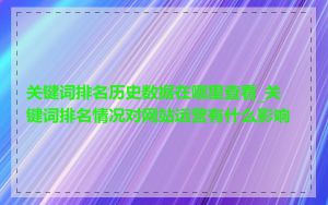 关键词排名历史数据在哪里查看_关键词排名情况对网站运营有什么影响
