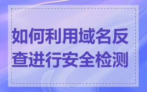 如何利用域名反查进行安全检测
