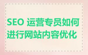 SEO 运营专员如何进行网站内容优化