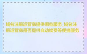 域名注册运营商提供哪些服务_域名注册运营商是否提供自动续费等便捷服务