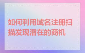 如何利用域名注册扫描发现潜在的商机
