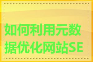 如何利用元数据优化网站SEO