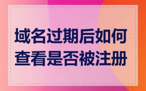 域名过期后如何查看是否被注册
