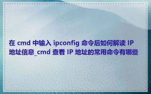 在 cmd 中输入 ipconfig 命令后如何解读 IP 地址信息_cmd 查看 IP 地址的常用命令有哪些