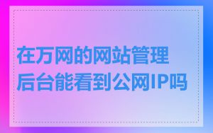 在万网的网站管理后台能看到公网IP吗