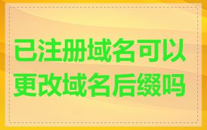 已注册域名可以更改域名后缀吗