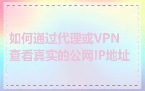 如何通过代理或VPN查看真实的公网IP地址