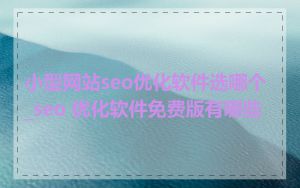 小型网站seo优化软件选哪个_seo 优化软件免费版有哪些