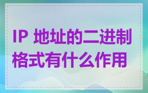 IP 地址的二进制格式有什么作用
