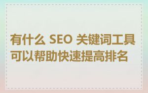 有什么 SEO 关键词工具可以帮助快速提高排名