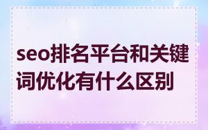 seo排名平台和关键词优化有什么区别
