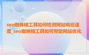 seo蜘蛛精工具如何检测网站响应速度_seo蜘蛛精工具如何帮助网站优化