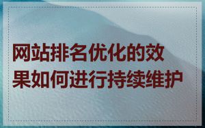 网站排名优化的效果如何进行持续维护