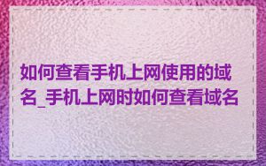 如何查看手机上网使用的域名_手机上网时如何查看域名