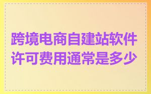 跨境电商自建站软件许可费用通常是多少