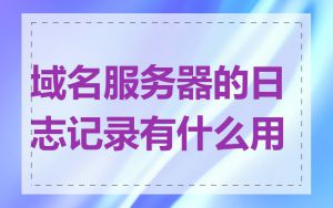 域名服务器的日志记录有什么用