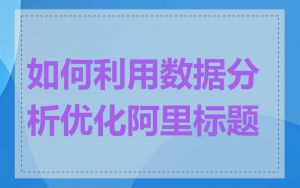如何利用数据分析优化阿里标题