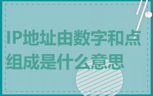 IP地址由数字和点组成是什么意思
