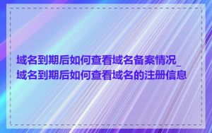 域名到期后如何查看域名备案情况_域名到期后如何查看域名的注册信息
