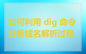 如何利用 dig 命令分析域名解析过程