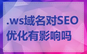 .ws域名对SEO优化有影响吗