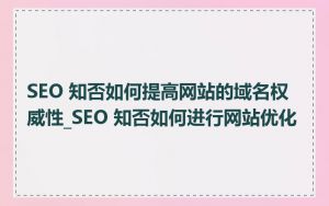 SEO 知否如何提高网站的域名权威性_SEO 知否如何进行网站优化