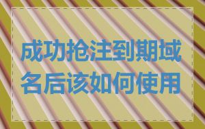 成功抢注到期域名后该如何使用