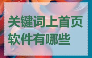 关键词上首页软件有哪些
