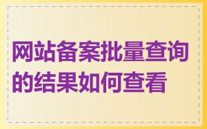 网站备案批量查询的结果如何查看