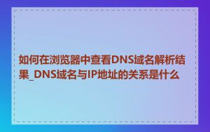 如何在浏览器中查看DNS域名解析结果_DNS域名与IP地址的关系是什么