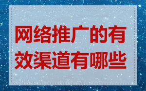 网络推广的有效渠道有哪些