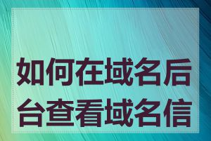 如何在域名后台查看域名信息