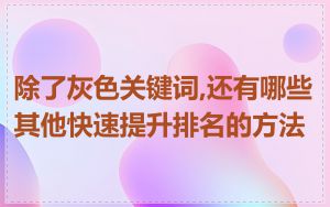 除了灰色关键词,还有哪些其他快速提升排名的方法