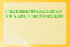 小微企业应该如何选择适合自己的SEO公司_专注做好SEO的公司有哪些值得关注