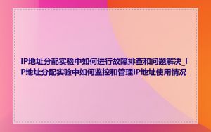 IP地址分配实验中如何进行故障排查和问题解决_IP地址分配实验中如何监控和管理IP地址使用情况