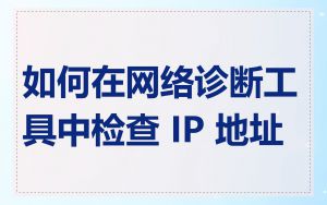 如何在网络诊断工具中检查 IP 地址