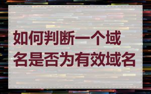 如何判断一个域名是否为有效域名