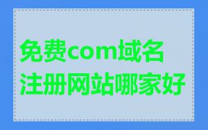 免费com域名注册网站哪家好