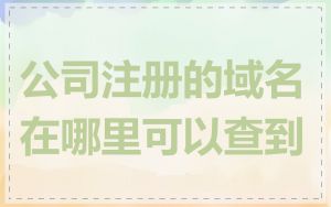 公司注册的域名在哪里可以查到