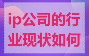 ip公司的行业现状如何