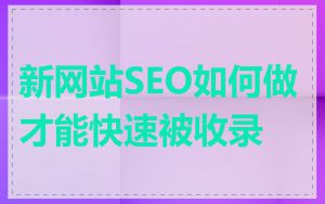 新网站SEO如何做才能快速被收录