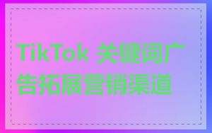 TikTok 关键词广告拓展营销渠道
