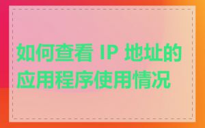 如何查看 IP 地址的应用程序使用情况