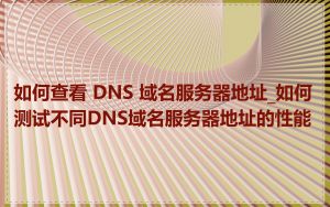 如何查看 DNS 域名服务器地址_如何测试不同DNS域名服务器地址的性能