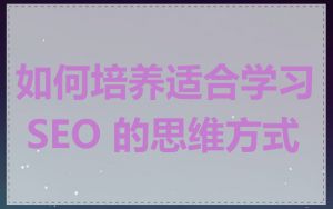 如何培养适合学习 SEO 的思维方式