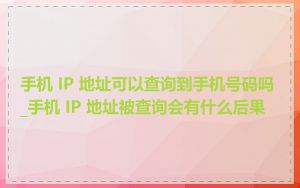 手机 IP 地址可以查询到手机号码吗_手机 IP 地址被查询会有什么后果
