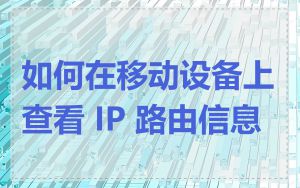 如何在移动设备上查看 IP 路由信息