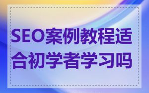 SEO案例教程适合初学者学习吗