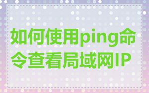 如何使用ping命令查看局域网IP
