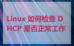 Linux 如何检查 DHCP 是否正常工作